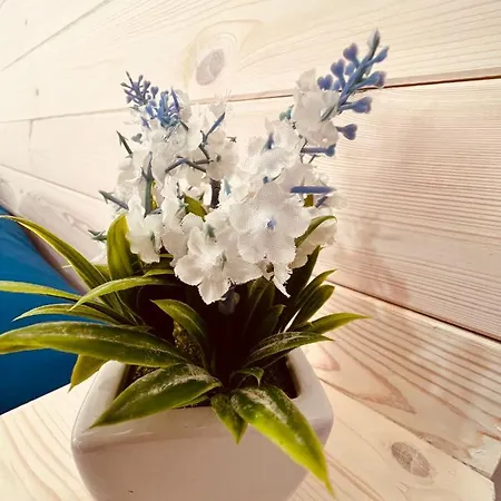 La Casetta Di Paola * Gallipoli