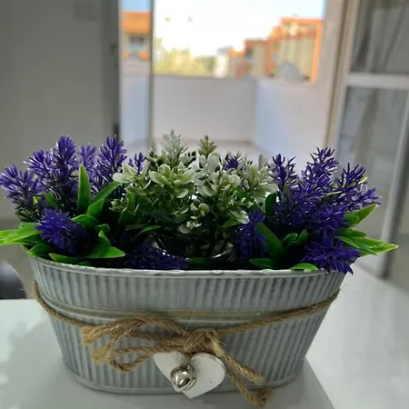 Apartamento La Casetta Di Paola