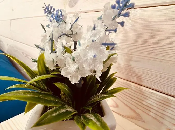 La Casetta Di Paola * Галліполі