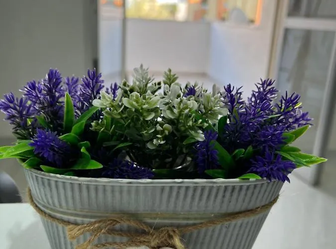 Апартаменти La Casetta Di Paola